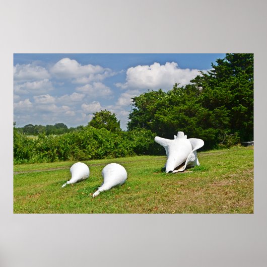 Poster de la sculpture Shell (Devant)