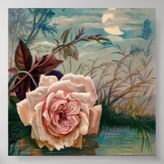 Poster de la Serenade Rose Moonlight (Devant)