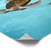 Poster de la sirène avec tortue de mer (Coin)