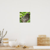 Poster de la Sloth in Tree (Cuisine)