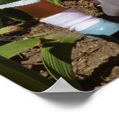 Poster de la soirée thé vintage Dolls (Coin)