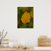 Poster de la sorcière (Cuisine)