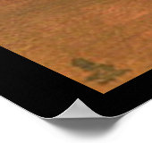 Poster De La Sorcière D'Halloween Et Du Chat Noir (Coin)