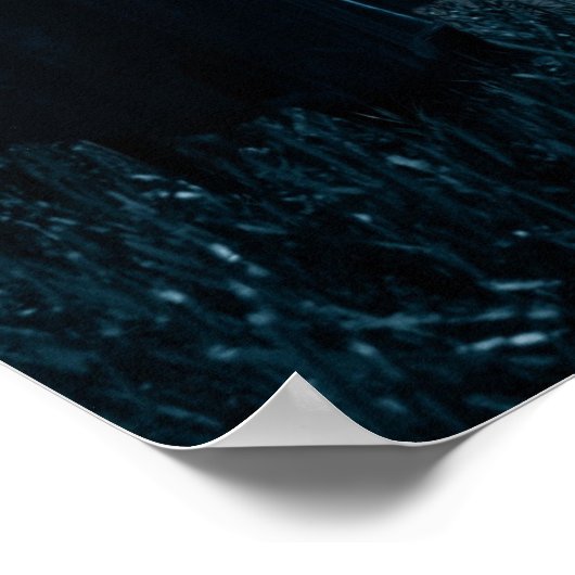 Poster de la sorcière du Corbeau (Coin)