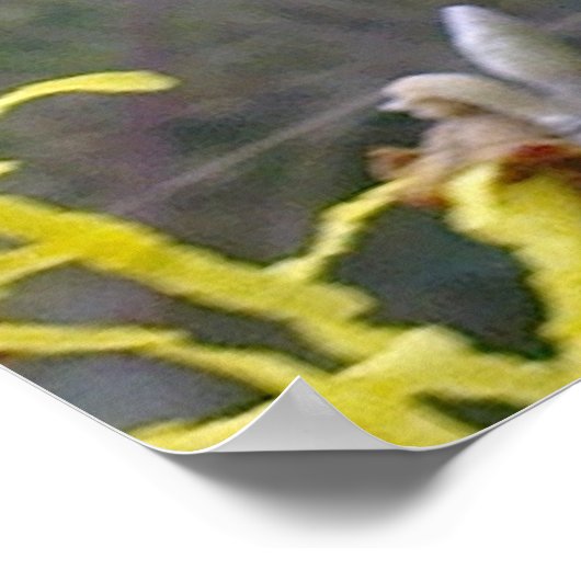 Poster de la sorcière Hazel Blossom (Coin)