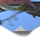 Poster de la spatule de rose (Coin)