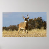 Poster de la tête (Devant)