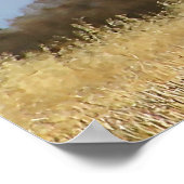 Poster de la tête (Coin)