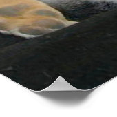 Poster de la tête au-dessus de la guérison (Coin)