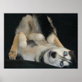 Poster de la tête au-dessus de la guérison (Devant)