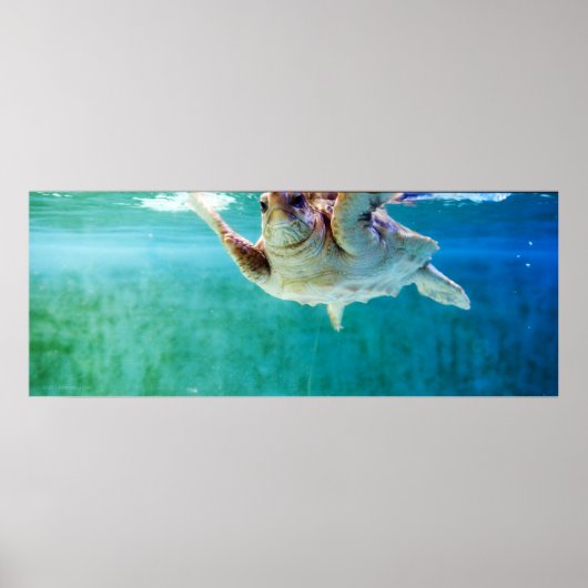 Poster de la tête de journal n° 5 (Devant)