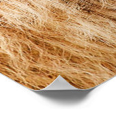 Poster de la tête de lion (Coin)