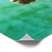 Poster de la tête de registre #3 (Coin)