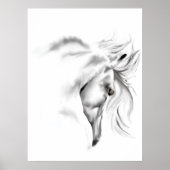 Poster de la tête du cheval blanc (Devant)