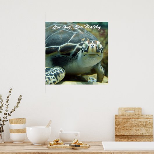 Poster de la tortue (Cuisine)