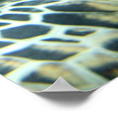 Poster de la tortue (Coin)