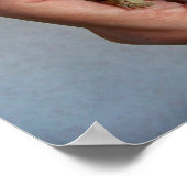 Poster de la Tortue Bébé (Coin)