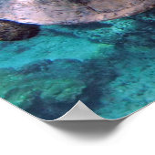 Poster de la Tortue Hawaii Honu (Coin)