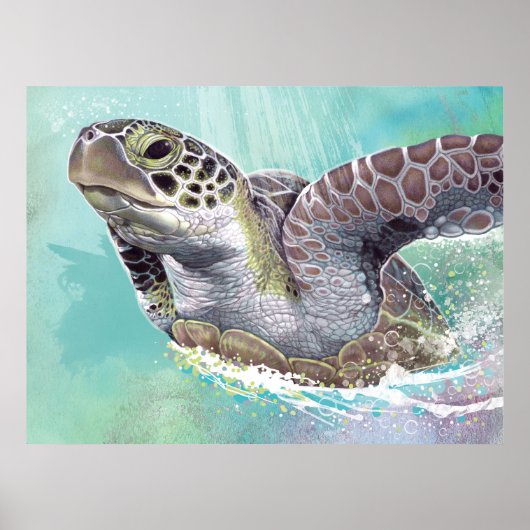 Poster de la tortue verte (Devant)