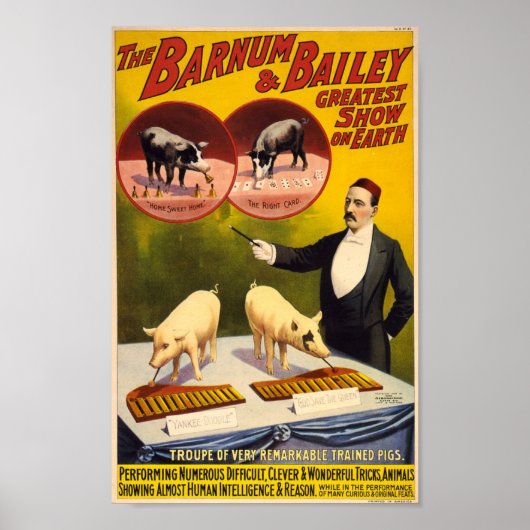Poster de la Troupe des Chiens Formés Remarquables (Devant)