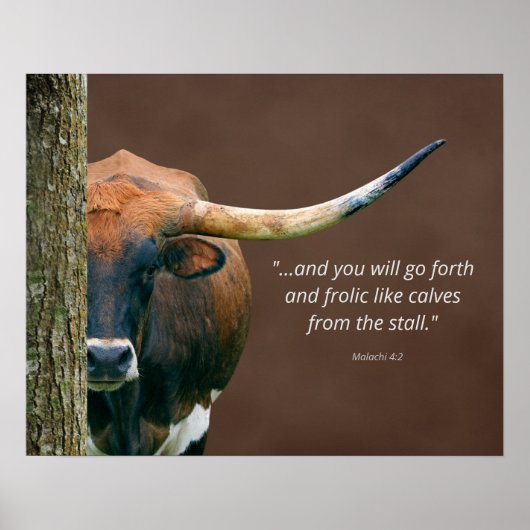 Poster de la vache de Texas Longhorn - Libération (Devant)