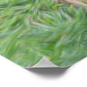 Poster de la vache écossaise Highland (Coin)