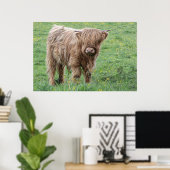 Poster de la vache écossaise Highland (Bureau à domicile)