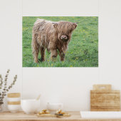Poster de la vache écossaise Highland (Cuisine)