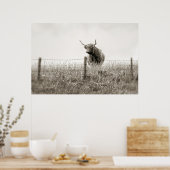 Poster de la vache écossaise Highland Baby (Cuisine)