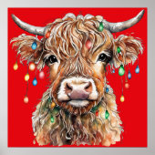 Poster de la vache Highland (Devant)