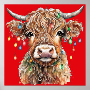 Poster de la vache Highland