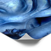 Poster de la Vale de l'éternum (Coin)