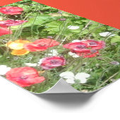 Poster de la valeur des fleurs de pommes de prairi (Coin)