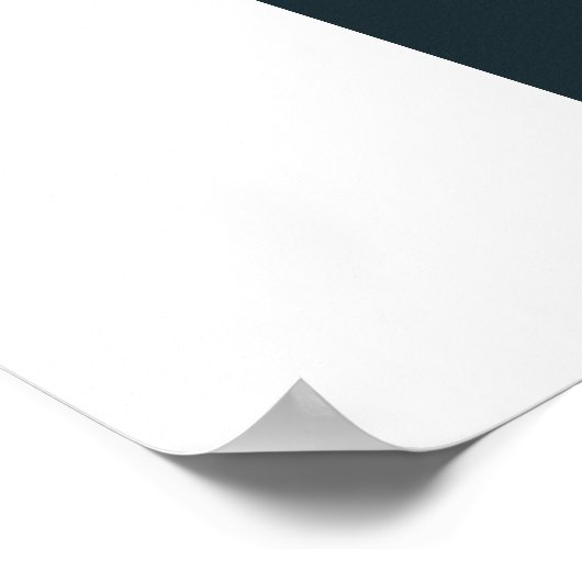 Poster de la version romantique ROS (Coin)