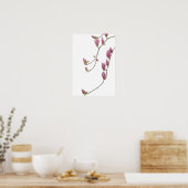 Poster de la vigne de Magnolia (Cuisine)