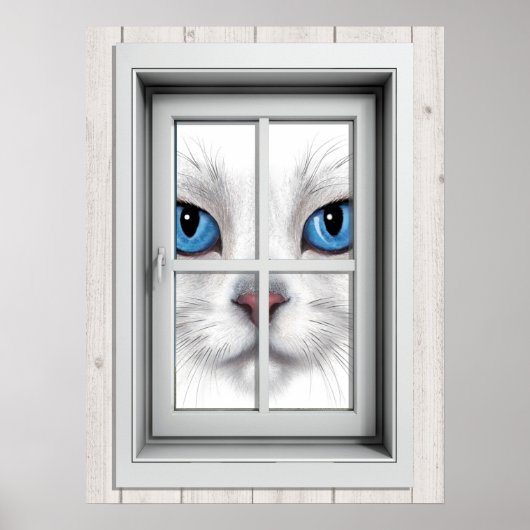 Poster de la vue de fenêtre (Devant)