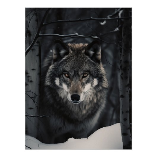 Poster de la vue du loup d'hiver (Devant)