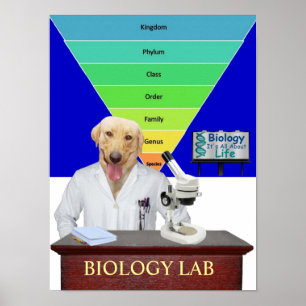 Poster de laboratoire de biologie drôle pour ensei