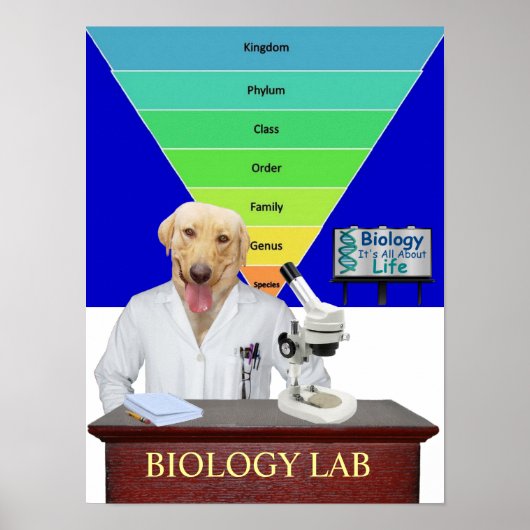 Poster de laboratoire de biologie drôle pour ensei (Devant)