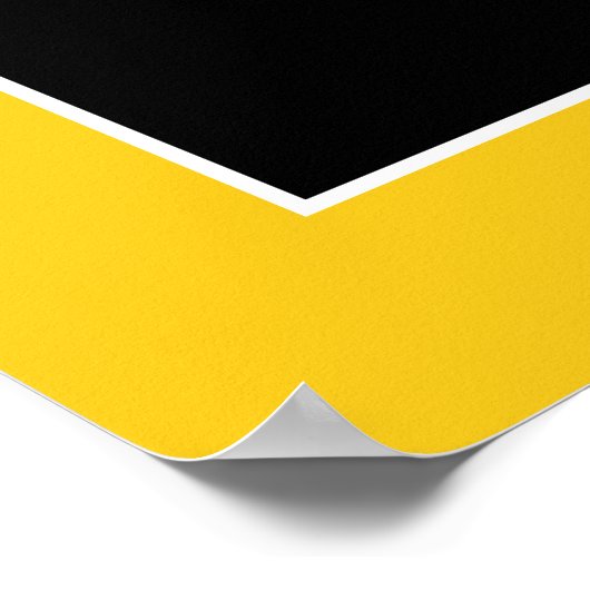 Poster de Lacrosse Goalie (Coin)