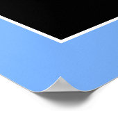 Poster de Lacrosse Goalie (Coin)