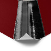 Poster de Lacrosse Sports (Coin)