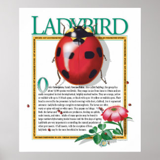 Poster de Ladybird