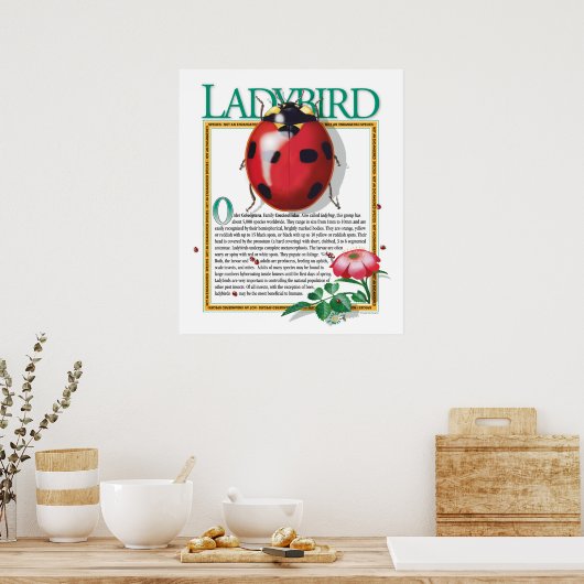Poster de Ladybird (Cuisine)