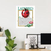 Poster de Ladybird (Bureau à domicile)
