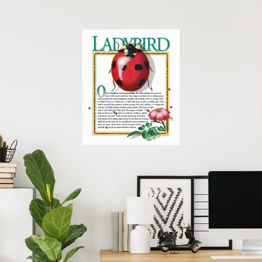 Poster de Ladybird (Bureau à domicile)