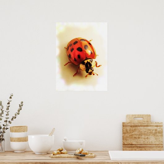 Poster de Ladybug (Cuisine)
