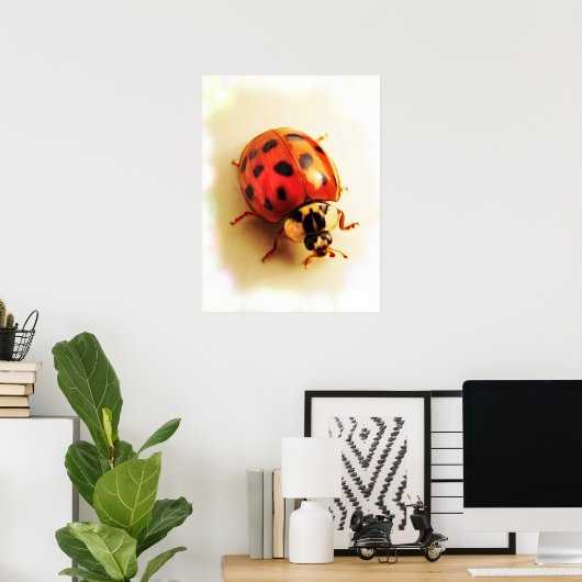 Poster de Ladybug (Bureau à domicile)