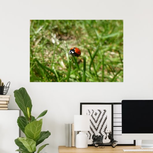 Poster de Ladybug (Bureau à domicile)