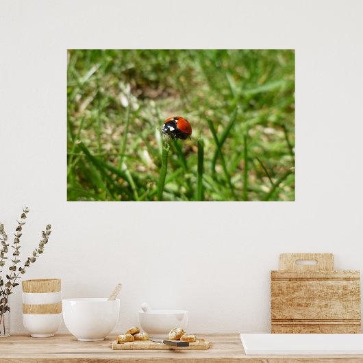 Poster de Ladybug (Cuisine)